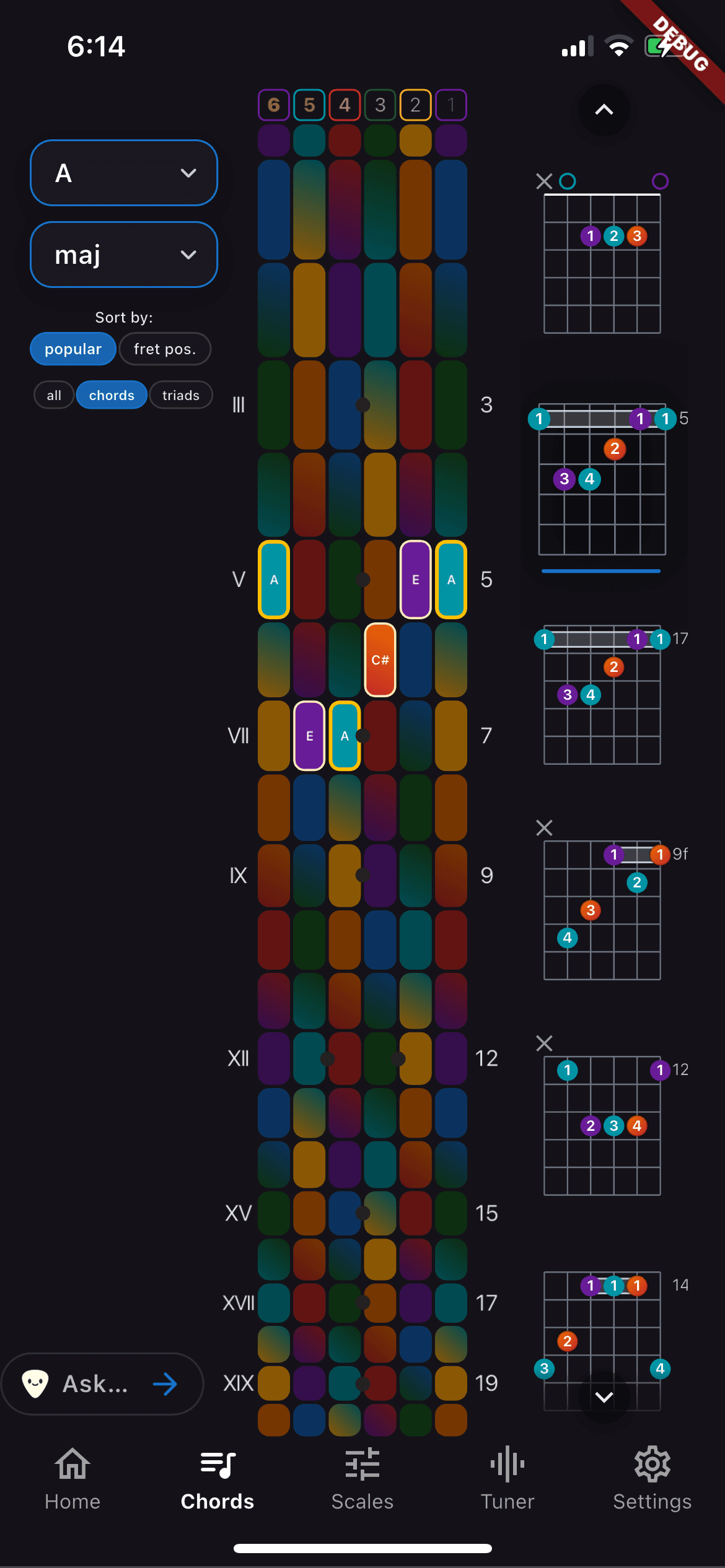 Fretty chord view highlighting notes on the fretboard